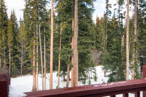 White Wolf 962 - image 4