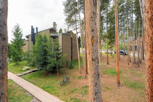 Gold Camp I125 - image 5
