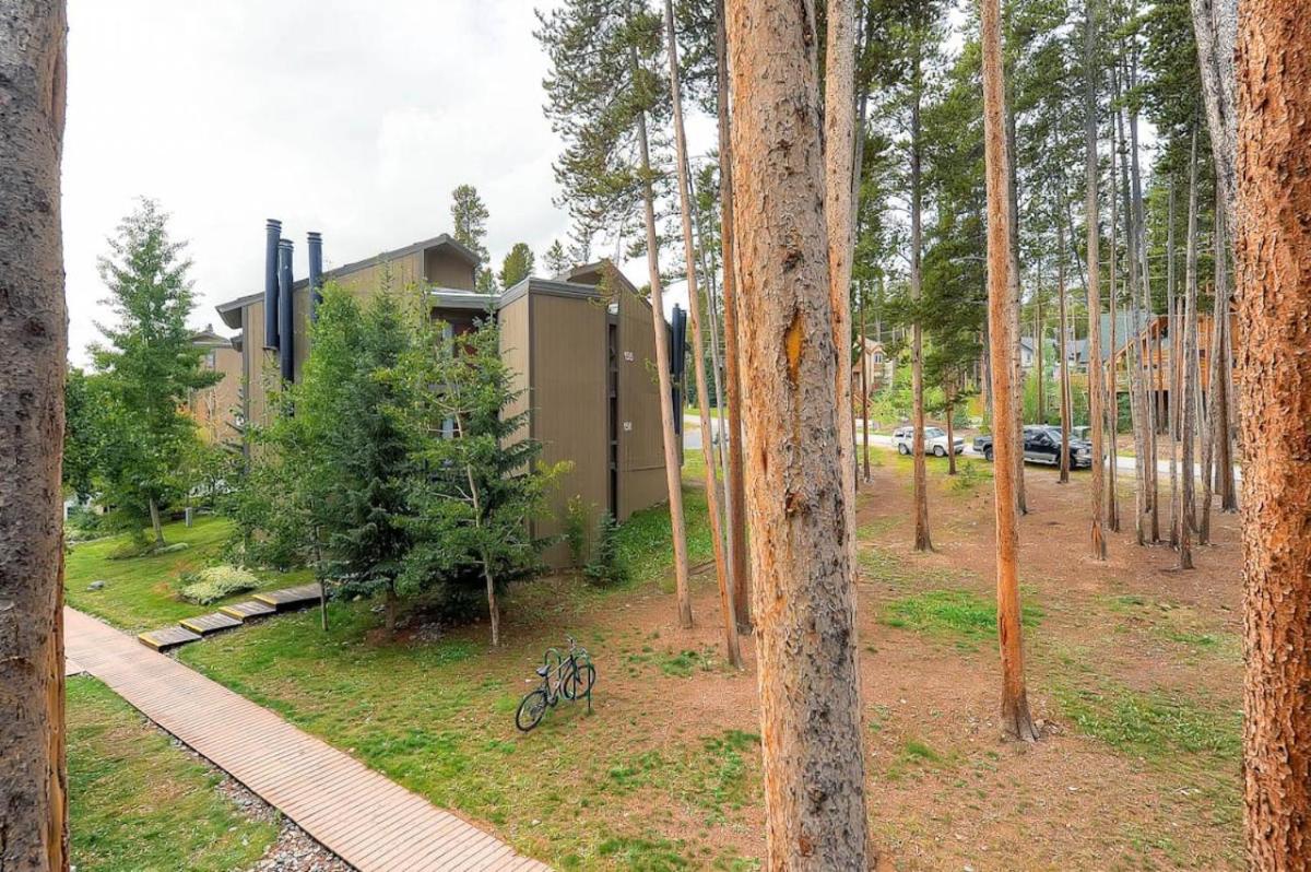 Gold Camp I125 - image 5