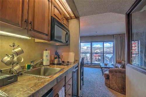 4429 Beaver Run Resort - image 6
