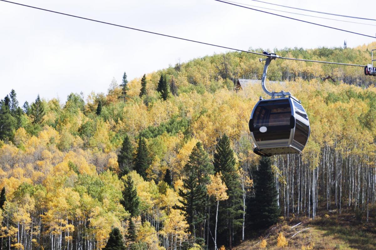 Grandview B20 - image 7