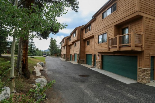 Cedars 43 - image 32