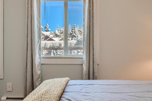 Alpine 303 Condo - image 9