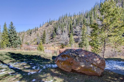 #244 - image 6