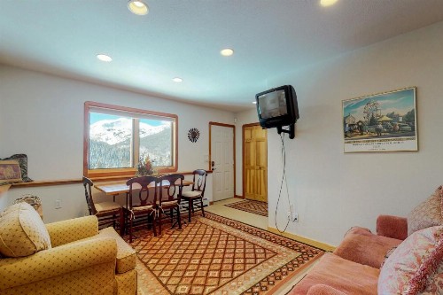 Kobza's Quandary View - image 6