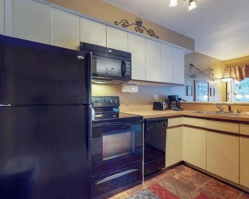 Wildwood Suites 101 (Condo) - image 10