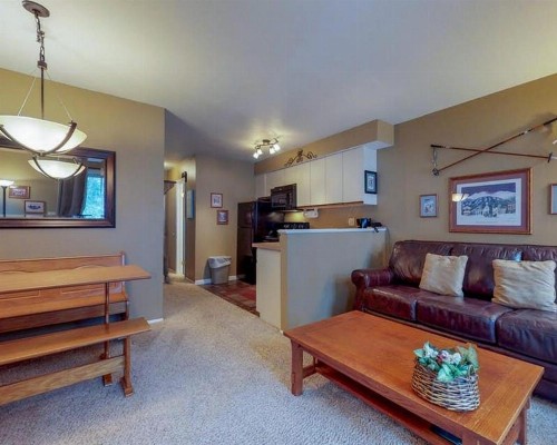 Wildwood Suites 101 (Condo) - image 17
