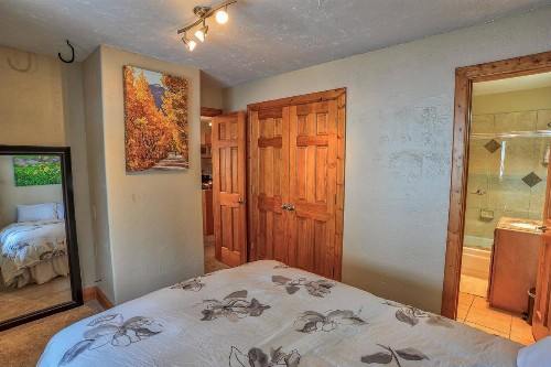 Quandary Condo - Hike & Explore Breck - image 10