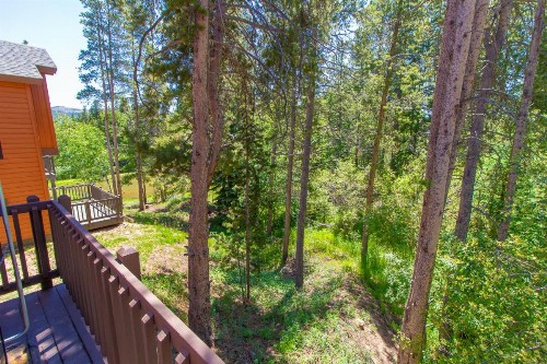 Park Forest Moose Pad - image 10