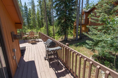 Park Forest Moose Pad - image 20
