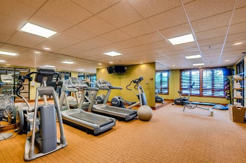Breckenridge Luxury Ski-In Ski-Out Condos - image 8