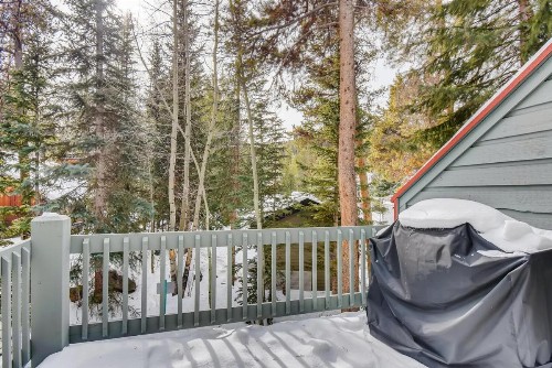 Pinecreek #F - 3 BR - Close to Town - Shuttle to Slopes - Pool and Hot Tub Access - image 28