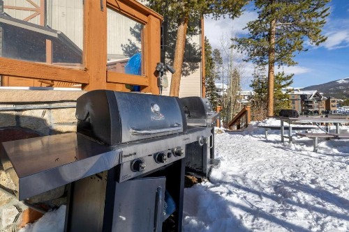 SkiWatch-437 - image 5