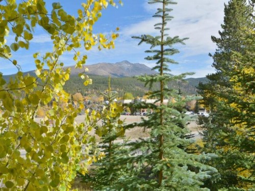 Breckenridge Mountain Thunder Lodge 1 Bedroom Luxury Condo Excellent Location! - image 20