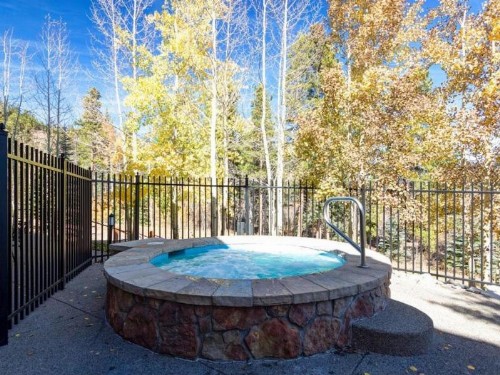 Breckenridge Mountain Thunder Lodge 1 Bedroom Luxury Condo Excellent Location! - image 3