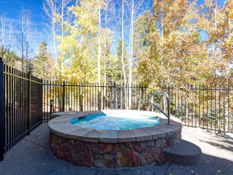 Breckenridge Mountain Thunder Lodge 1 Bedroom Luxury Condo Excellent Location! - image 3