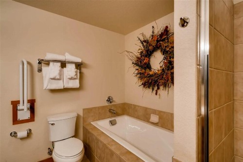 Breckenridge Main Street Station 1 Bedroom Luxury Condo Walk To Downtown - image 14