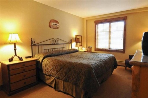 Breckenridge Mountain Thunder Lodge 3 Bedroom Luxury Condo. Ski-In Access. - image 3
