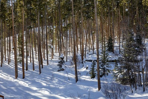 SkiWatch-438 - image 31