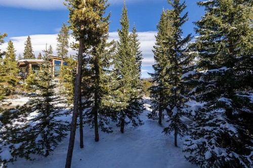 SkiWatch-438 - image 41
