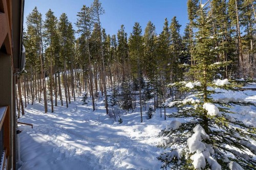 SkiWatch-438 - image 43