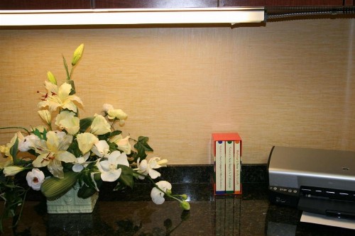 Hampton Inn Brentwood - image 20