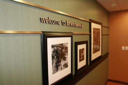 Hampton Inn Brentwood - image 7