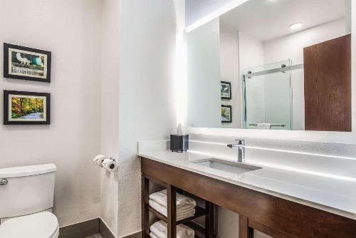 Comfort Inn & Suites - image 32