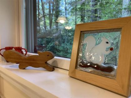 White Squirrel`s Nest - image 14