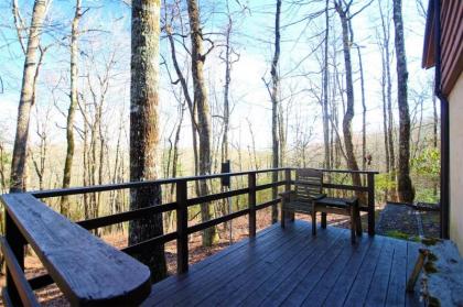 Chestnut Ridge - image 15