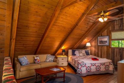 Chestnut Ridge - image 7