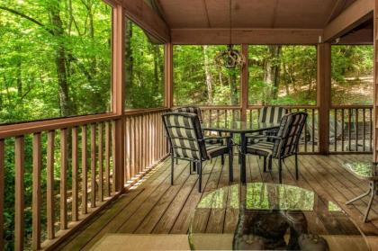 Chestnut Ridge - image 8