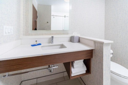 Holiday Inn Express & Suites Brevard - City Center - image 42