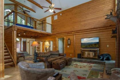 Blissful Bear Private Cabin Retreat - image 3