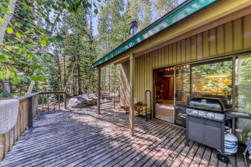Moose Hideaway - image 10