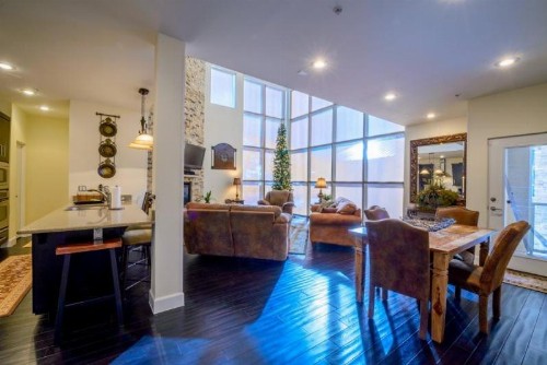 Dark Hollow - Loft 2D - image 8