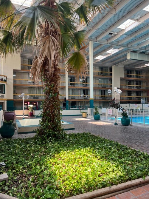 The Lodge Hotel and Banquets - image 11