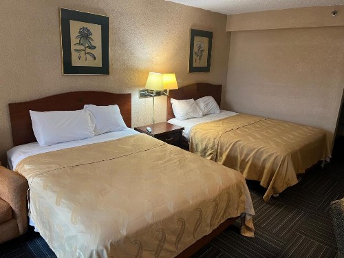 The Lodge Hotel and Banquets - image 13