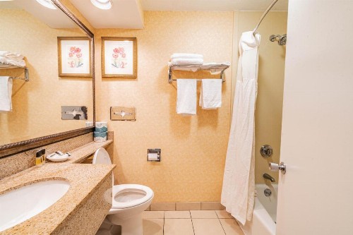 Hotel Boston - image 41