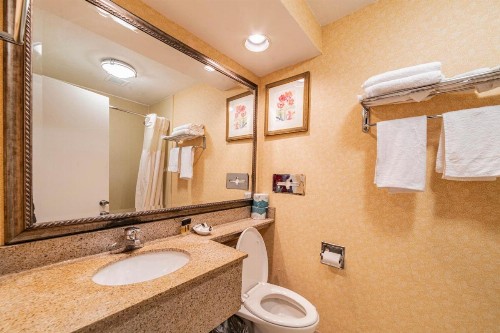 Hotel Boston - image 42