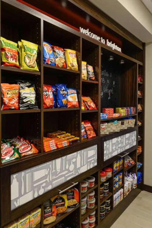 Hampton Inn Brighton Mi - image 16