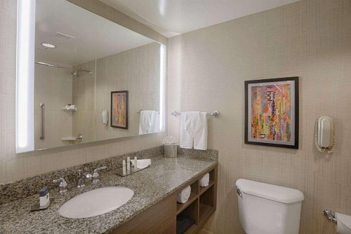 DoubleTree by Hilton San Francisco Airport North - image 4