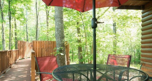 Shady Nook cabin - image 3