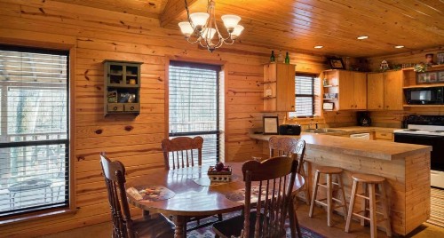 Shady Nook cabin - image 8