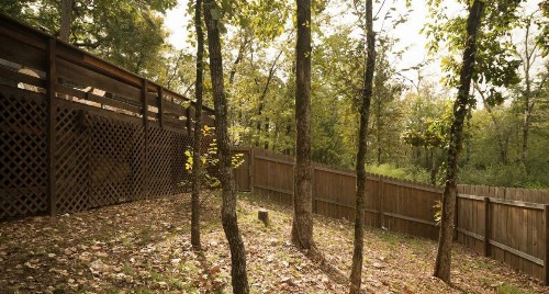 Bear Hollow cabin - image 3