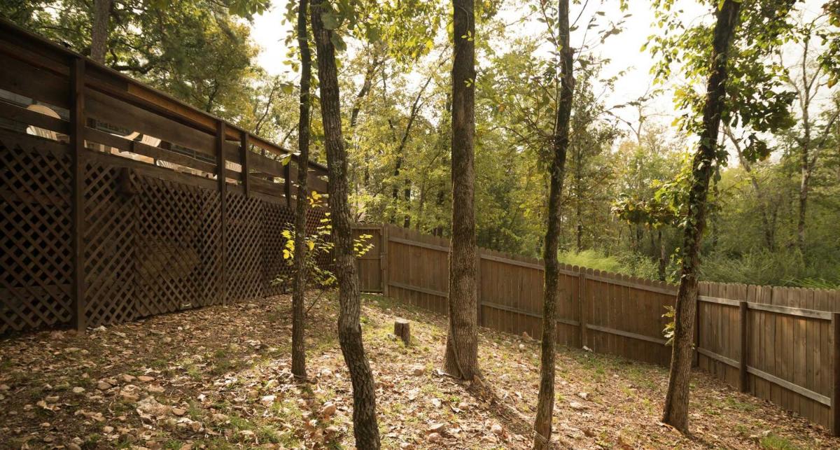 Bear Hollow cabin - image 3