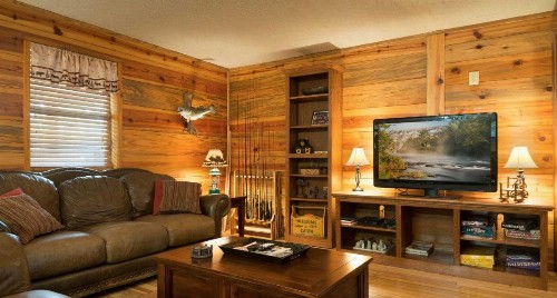 Bear Hollow cabin - image 5