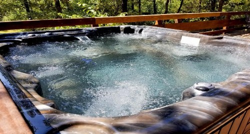 Bear Hollow cabin - image 8