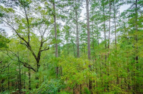 Ridgeview Retreat cabin - image 2