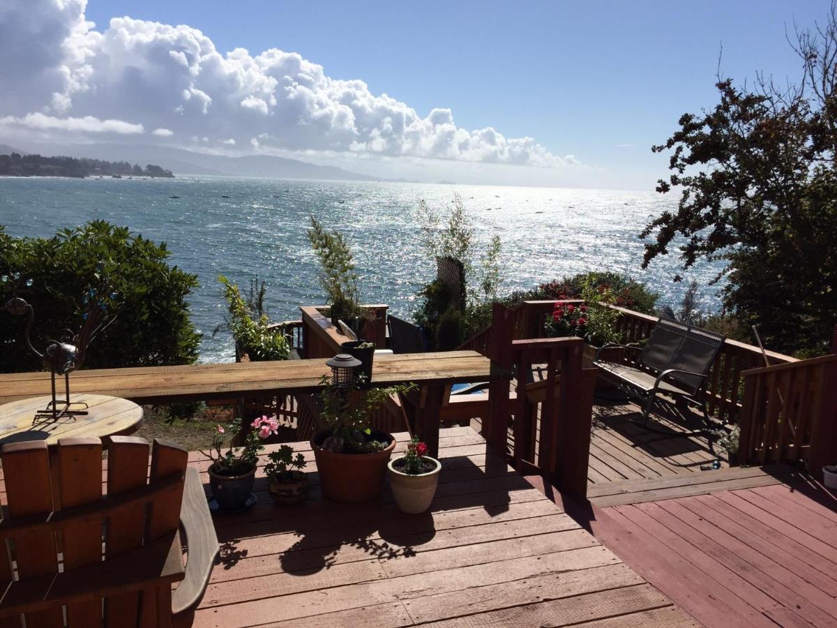 Mermaid's Muse Bed and Breakfast - image 5
